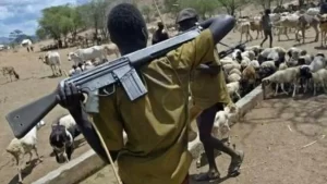 Suspected Herdsmen Kill Chief on Farmland In Ogun State