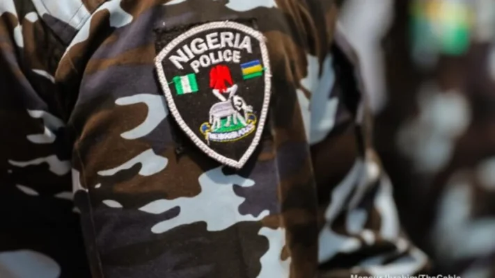 nigeria-police-711x400