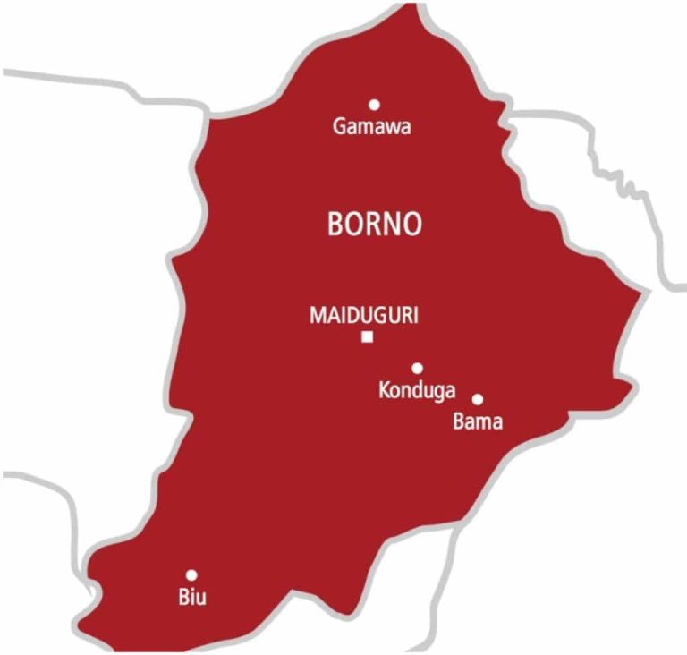 borno-state-map-1024x976