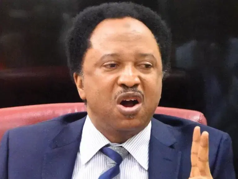 Shehusani-768x576