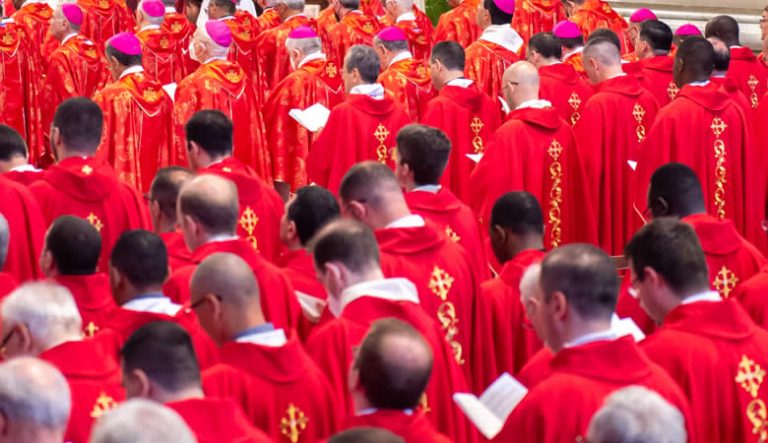 Cardinal-768x443
