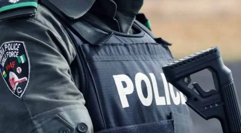 Nigerian-police-768x424