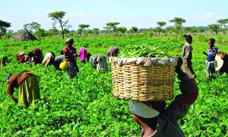 Farmers-768x461