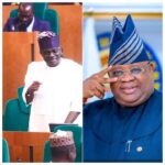 [OPINION] Wole Oke in the Shadow of Ademola Adeleke