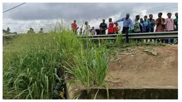 Woman Rescued From Attempted Suicide In Aba River