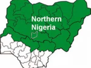Northern Group Rejects N200m Bribe To Protest Against Tinubu, Matawalle