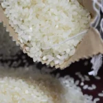 rice-1024x576