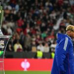 Fan Dies After Fall During Nations League Final In Munich
