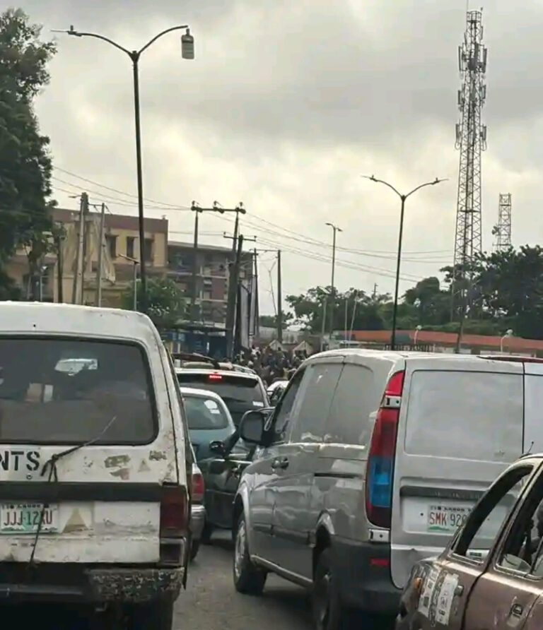 Protest Over Renaming Of Polytechnic Ibadan Grounds Commuters, Staff