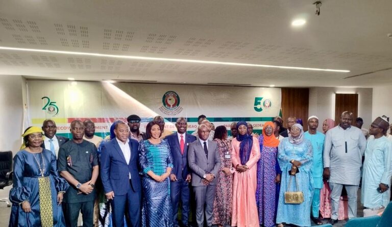 ECOWAS Parliament Pushes for AI Legal and Educational Framework