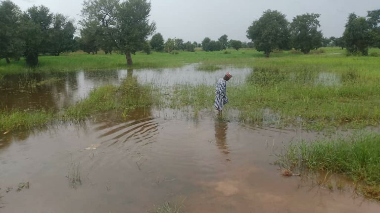 Flood-768x432