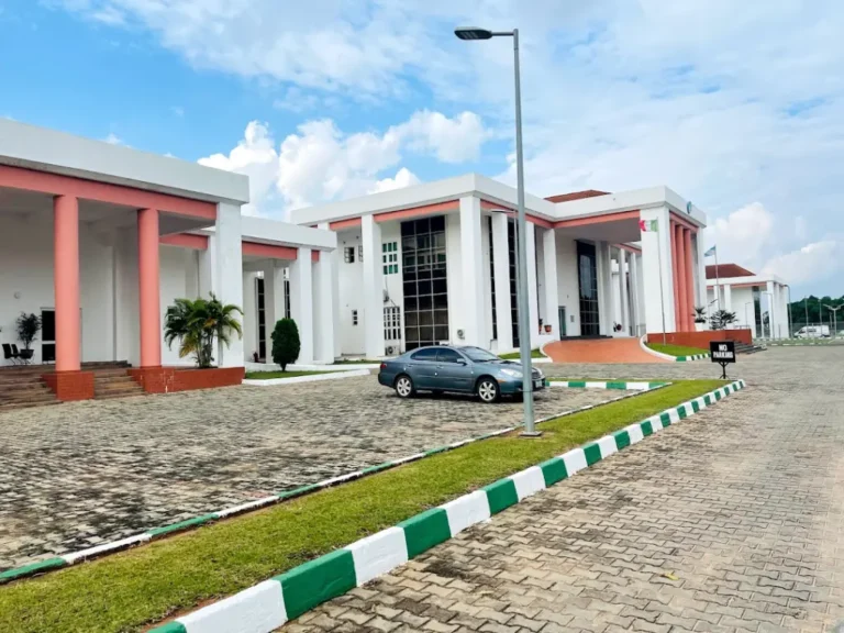 Cow Attacks, Critically Injures Staff At Delta Government House