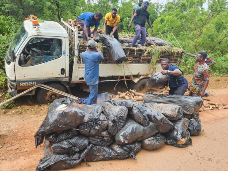 Police Nab Five Over Alleged Kidnapping, Cannabis Smuggling In Kwara
