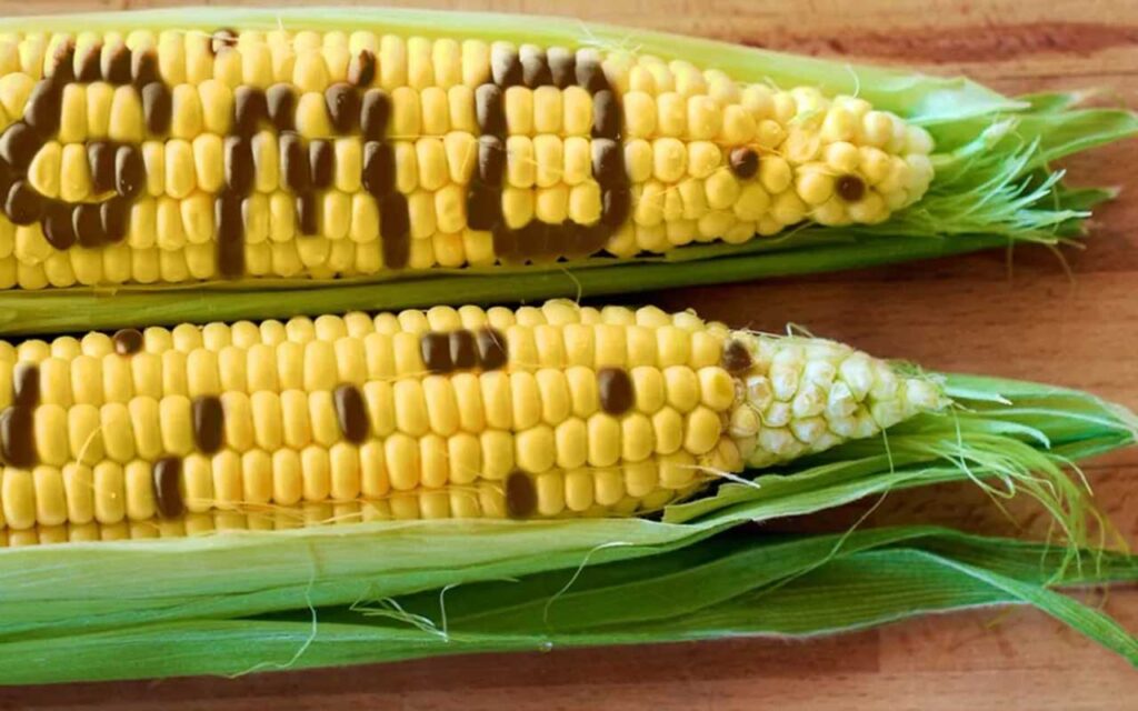 FG Moves To Label GM Crops Forr Public Trust