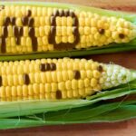 FG Moves To Label GM Crops Forr Public Trust