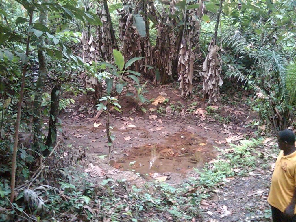 IMG-20250831-WA0155