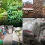 MOK Foundation 2025 Agriculture Impact