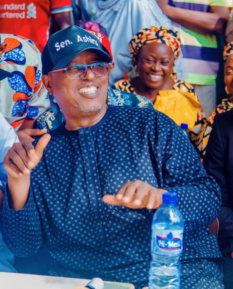 2027: Group Endorses Senator Lola Ashiru for Kwara Governorship Race