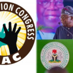 InShot_20260125_111939996