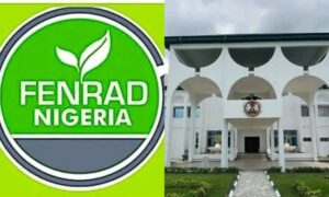 Abia Criminal Law Bills Must Undergo Public Hearing, FENRAD Tells Assembly